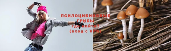 дмт Верея