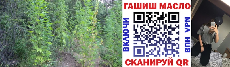 Дистиллят ТГК жижа  Каргат 