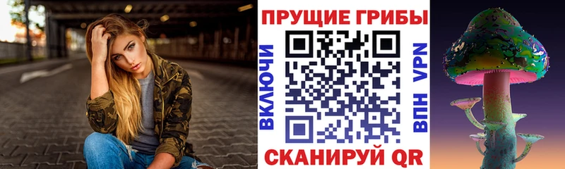 Галлюциногенные грибы Cubensis  Каргат 